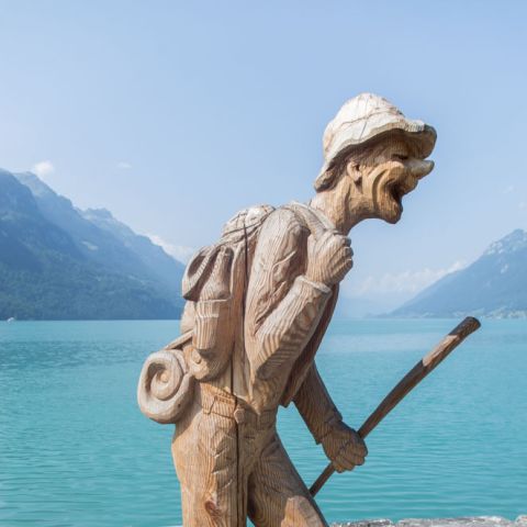 IGP5133