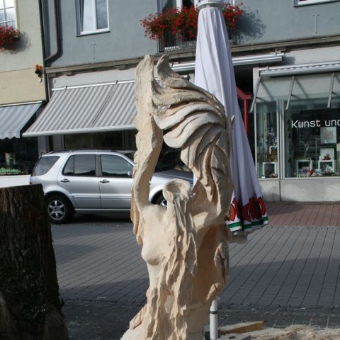st.blasien 09 - 008