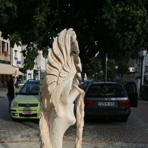 st.blasien 09 - 010
