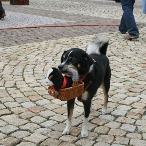 st.blasien 09 - 099