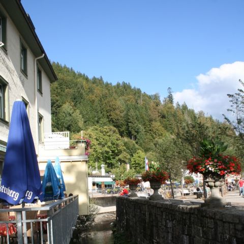 st.blasien 09 - 202