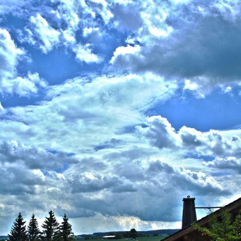 HDR82