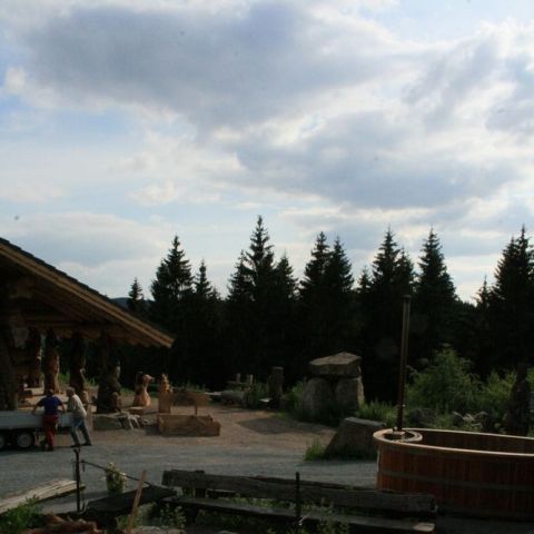 IMG 8954