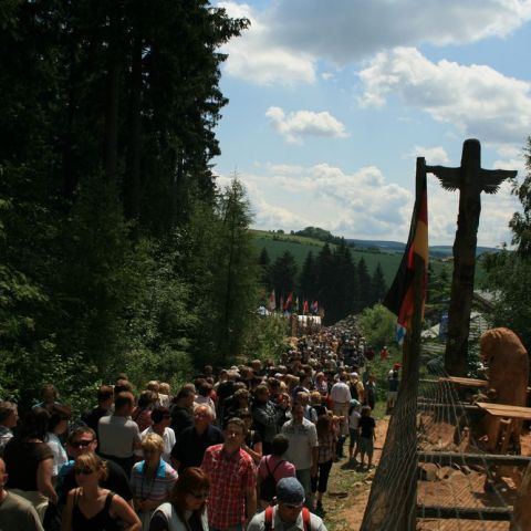 IMG 9336