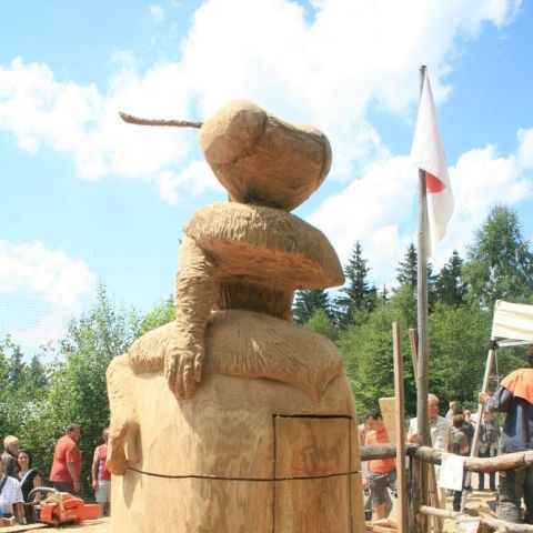 IMG 9453
