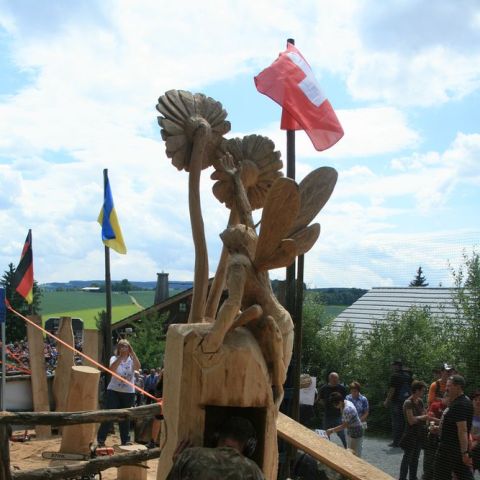 IMG 9455