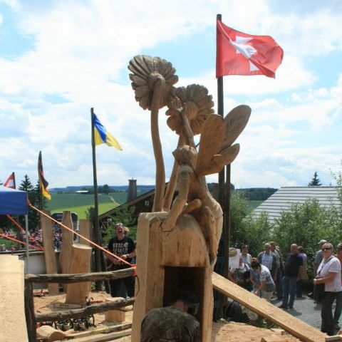 IMG 9456