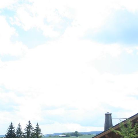 IMG 9476