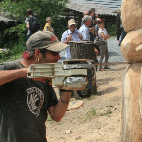 IMG 9497