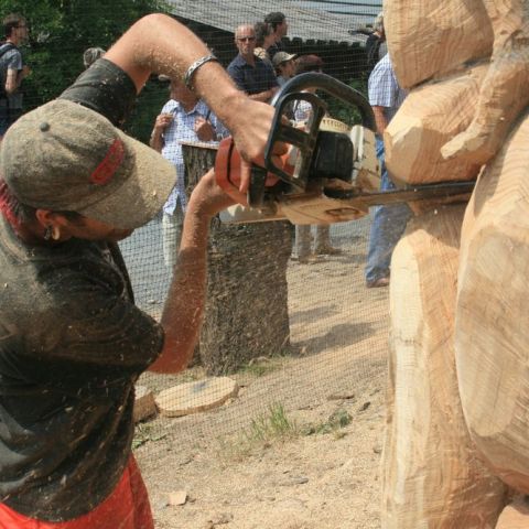 IMG 9500