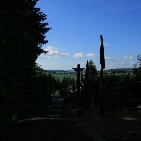 IMG 9584