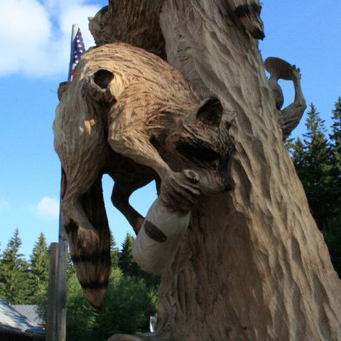 IMG 9666