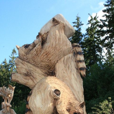 IMG 9669