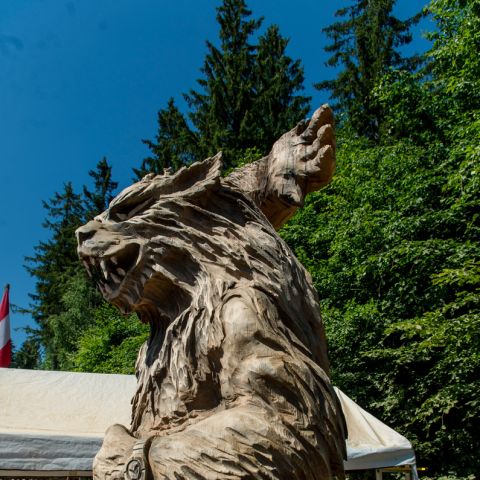 Huskycup Tag5 173