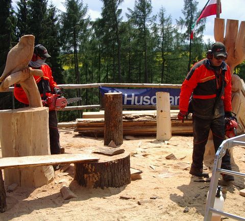 huskycup049
