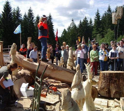 huskycup072