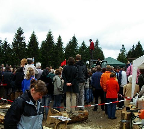 huskycup083