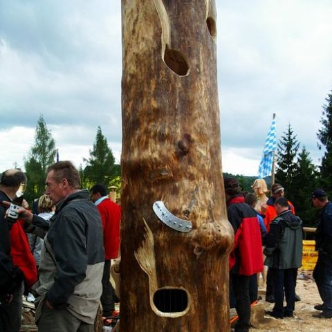 huskycup086