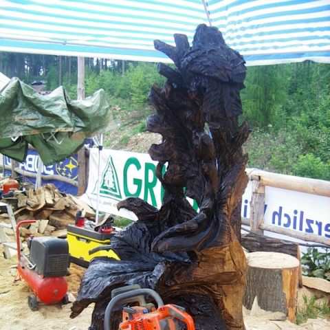 husqvarna cup 07 - 46
