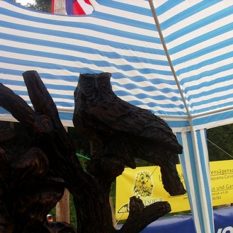 husqvarna cup 07 - 55