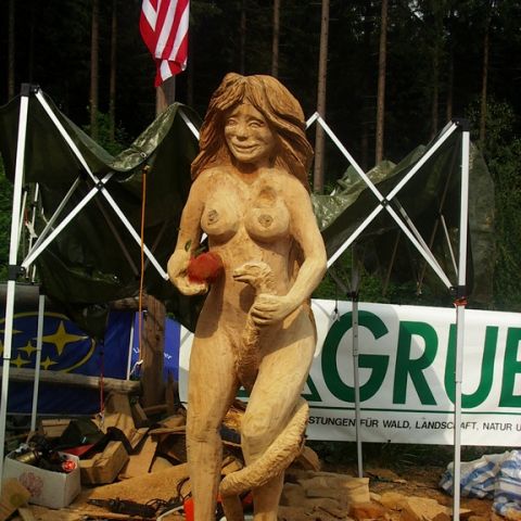 husqvarna cup 07 - 75