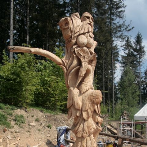 husky5 - 141