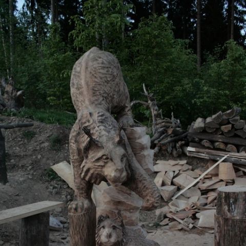husky5 - 181