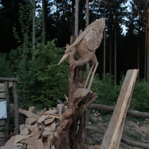 husky5 - 182