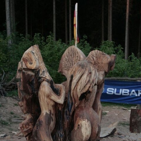 husky5 - 183