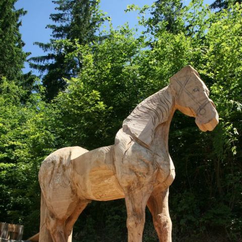 huskycup2012 019
