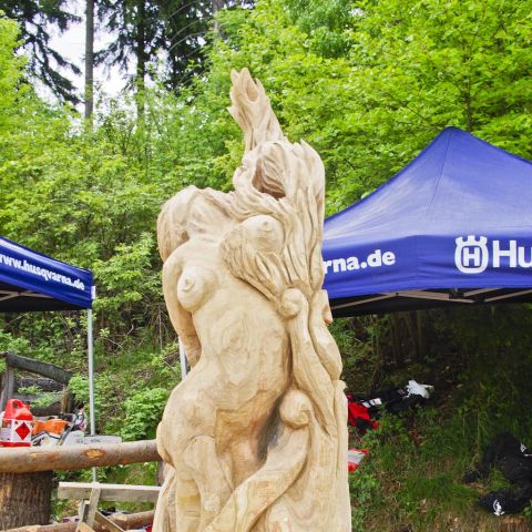 Husqvarna Cup 2013 Day2 0047