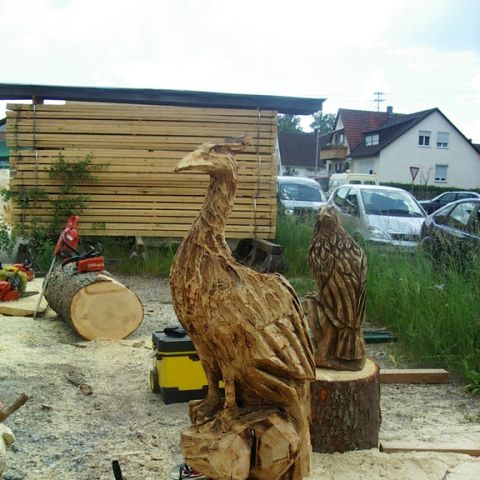 Treffen bei Rolf - 01