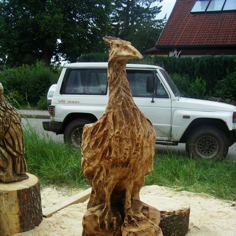 Treffen bei Rolf - 11