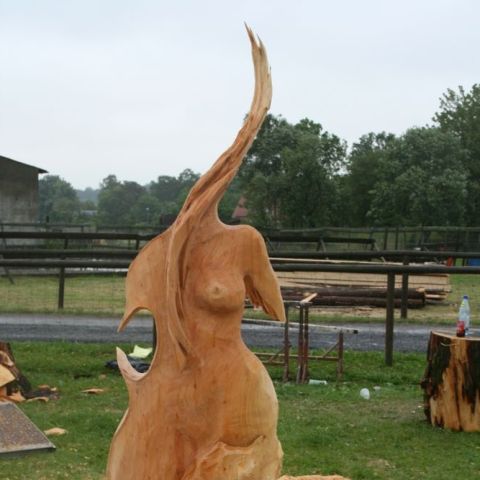 IMG 9953