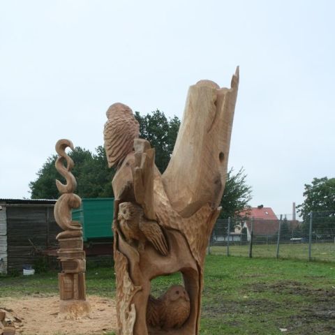IMG 9984