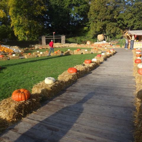 DSC03656