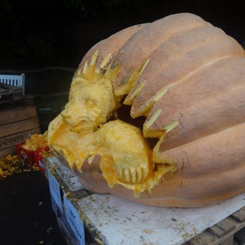 DSC03687