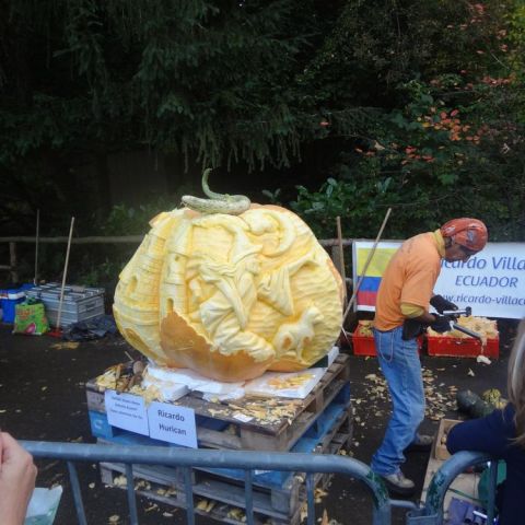 DSC03694