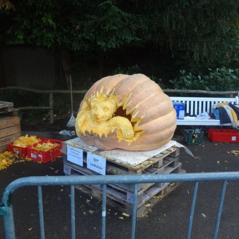 DSC03696