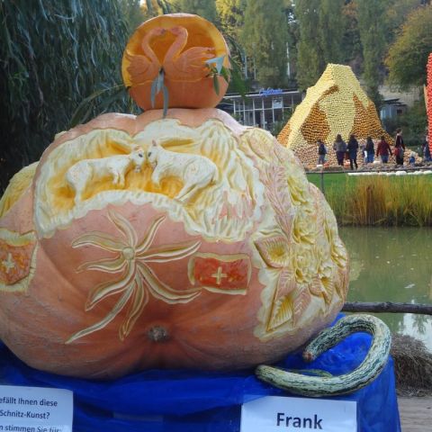 DSC03705