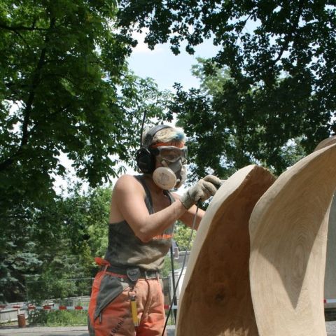 IMG 7658