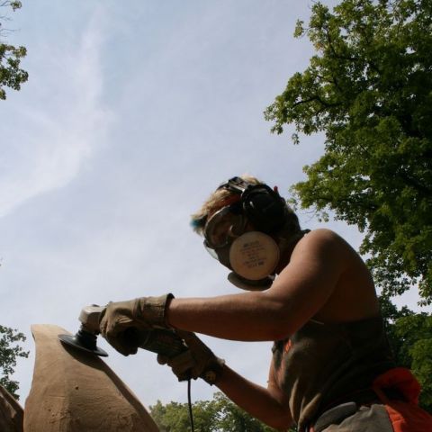 IMG 7661