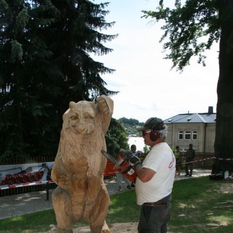 IMG 7682