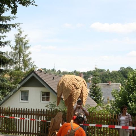 IMG 7704