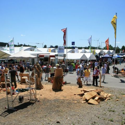 IMG 9937