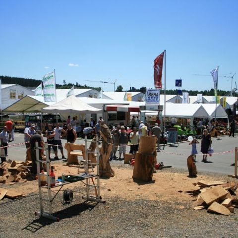 IMG 9938