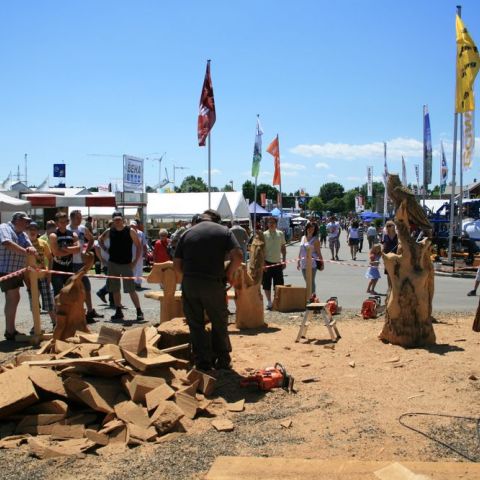 IMG 9939