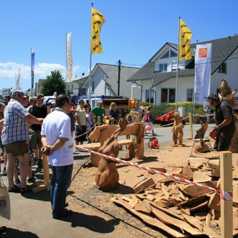 IMG 9941