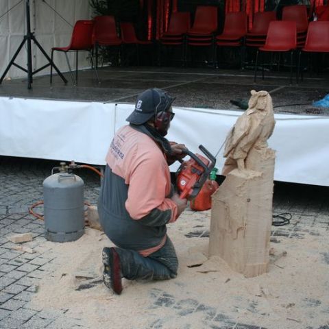 IMG 0785