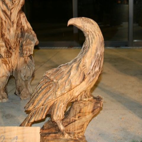 IMG 0827